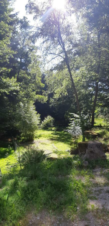 Haselbourg Gite De La Baerenbach מראה חיצוני תמונה