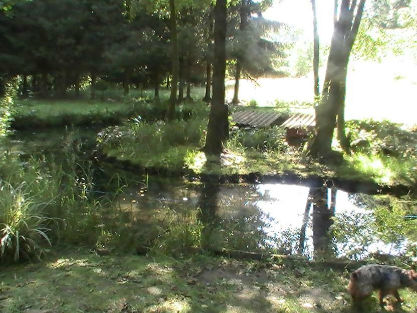 Haselbourg Gite De La Baerenbach מראה חיצוני תמונה